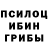 Псилоцибиновые грибы MAGIC MUSHROOMS Joel Black