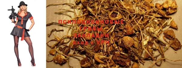 марки lsd Костерёво