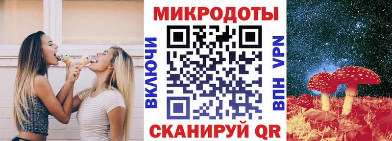 Галлюциногенные грибы MAGIC MUSHROOMS  магазин продажи наркотиков  Бердск 