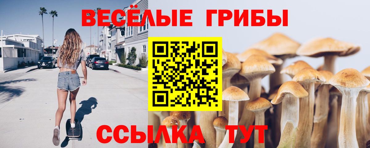 Галлюциногенные грибы GOLDEN TEACHER  Вход с VPN  Бердск 
